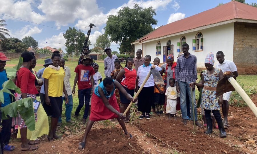 Organic farming project