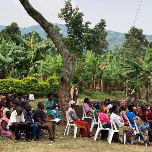 WhatsApp Image 2024-07-24 at 1.15.17 PM